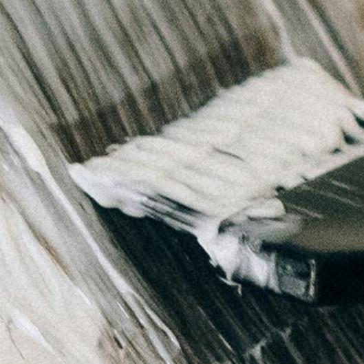 Cyber Monday Highlight/ Gloss Deal 